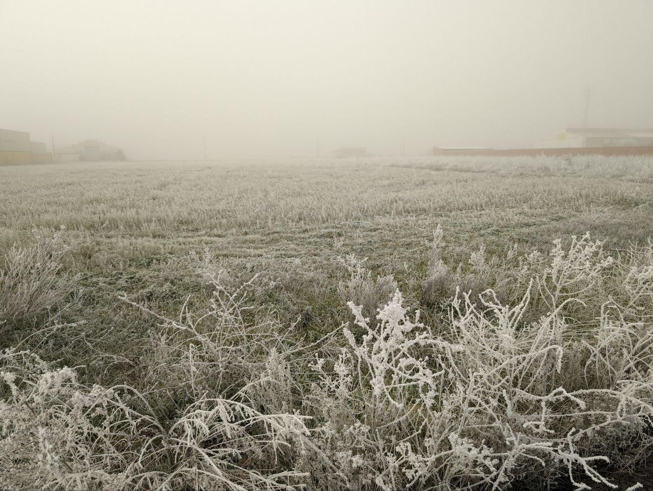 La cencellada pinta de blanco la comarca del Páramo leonés