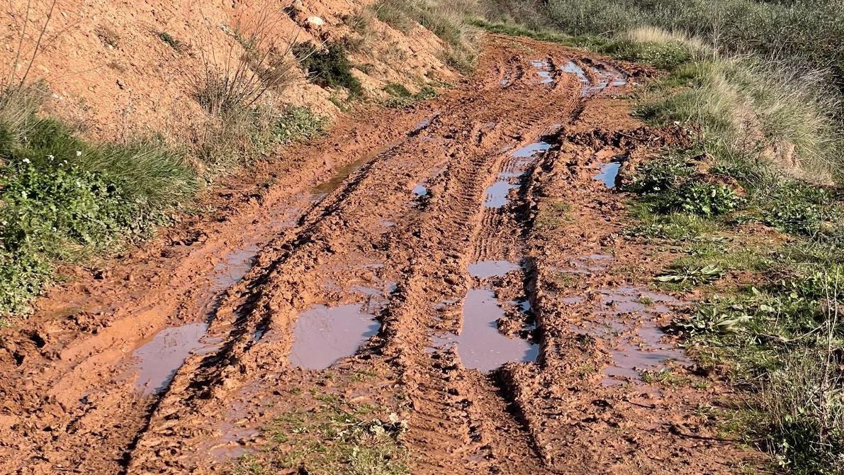 Caminos agrícolas "intransitables" en Navarrete a pesar de cobrar "una tasa a los agricultores para su mantenimiento"