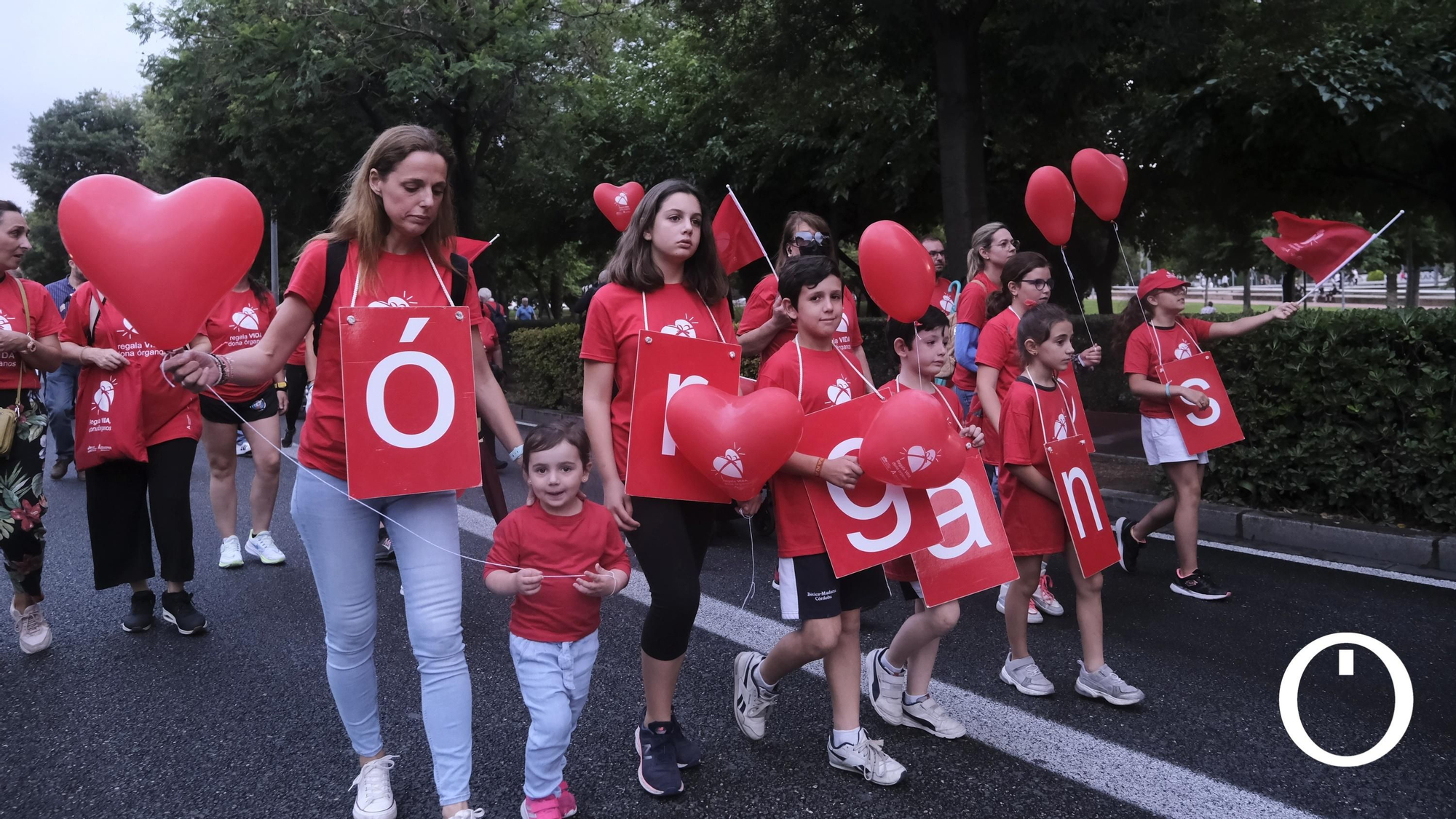 Marcha por la Donación de órganos.