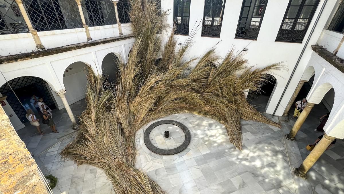 FLORA 2026 - Mas Rasa (Palacio de Orive)