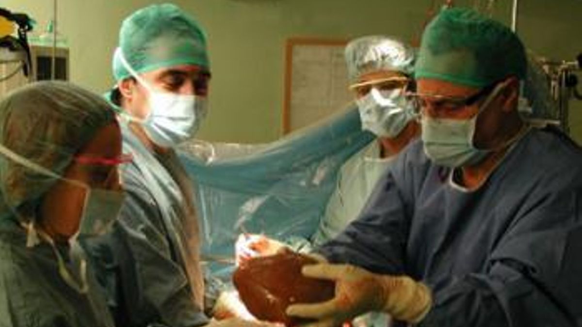 Todo lo que se necesita saber para ser donante de órganos, tejidos y médula