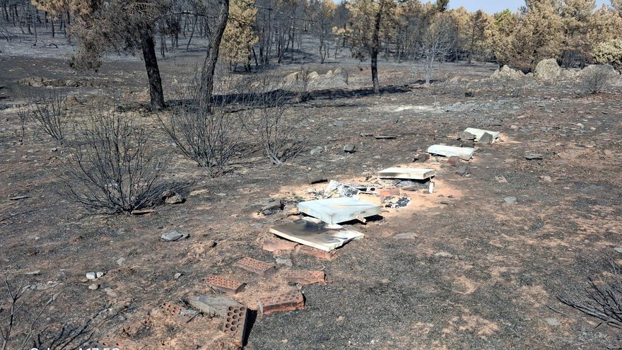 La Diputación de Guadalajara pagará el alimento de las colmenas afectadas por el incendio de La Mierla