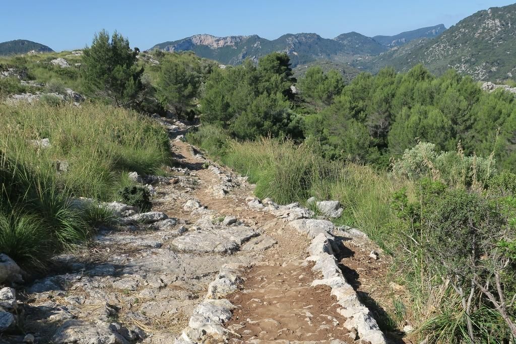 Camí d'Almallutx.
