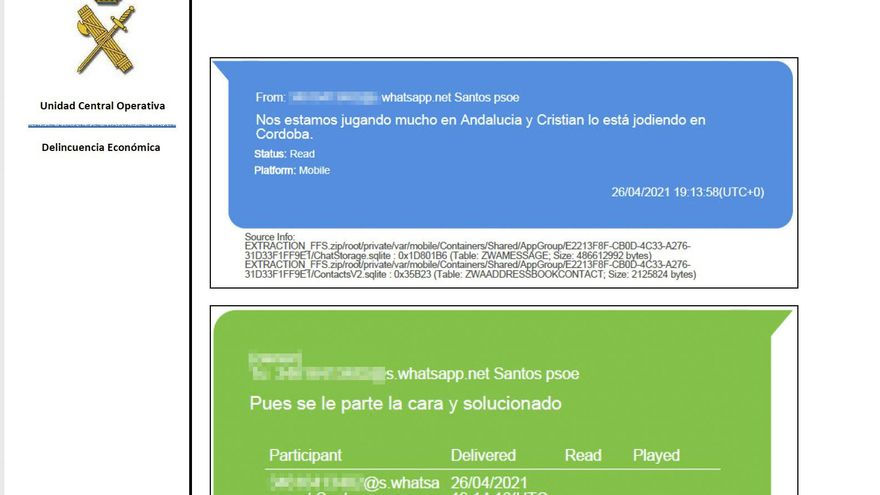 Santos Cerdán a Koldo: "Nos estamos jugando mucho en Andalucía y Cristian lo está jodiendo en Córdoba"