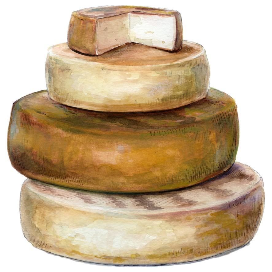 Quesos de La Palma. Dibujo Miguel Ángel Brito.