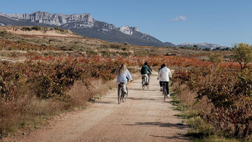El enoturismo en La Rioja se consolida: cerca de 880.000 personas visitaron las bodegas de la DOCa Rioja en 2023