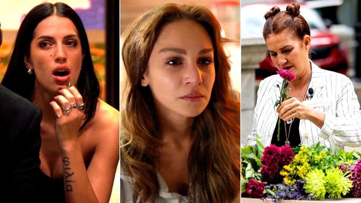 Imágenes de 'Casados a primera vista', 'En tierra lejana' y 'DecoMasters'