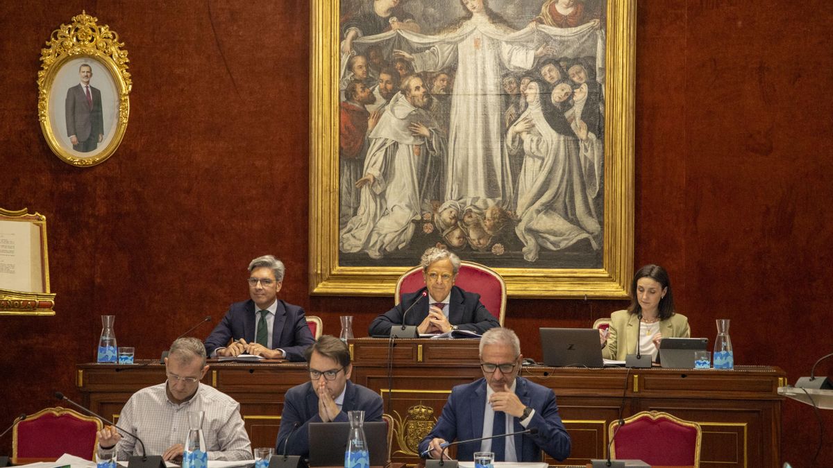 El Pleno de la Diputación aprueba un proyecto dirigido a menores con problemas de conducta en familias vulnerables