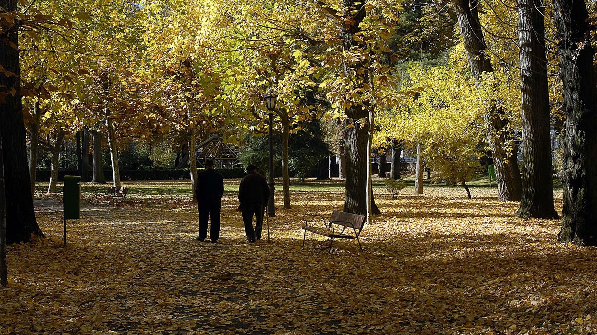 Despedida una trabajadora de una residencia de Azuqueca de Henares por un vídeo vejatorio hacia una anciana