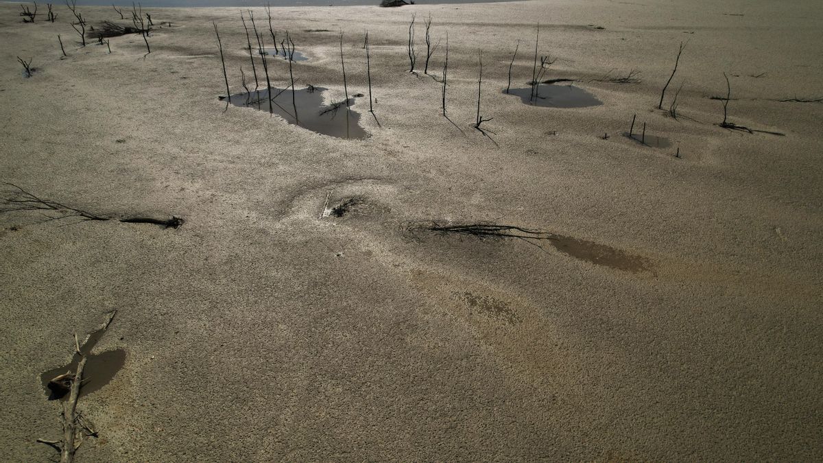 El coste de la inacción climática y el retardismo climático