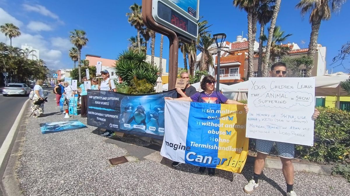Protesta frente a Loro Parque para pedir el fin del "maltrato animal". Álvaro Morales.