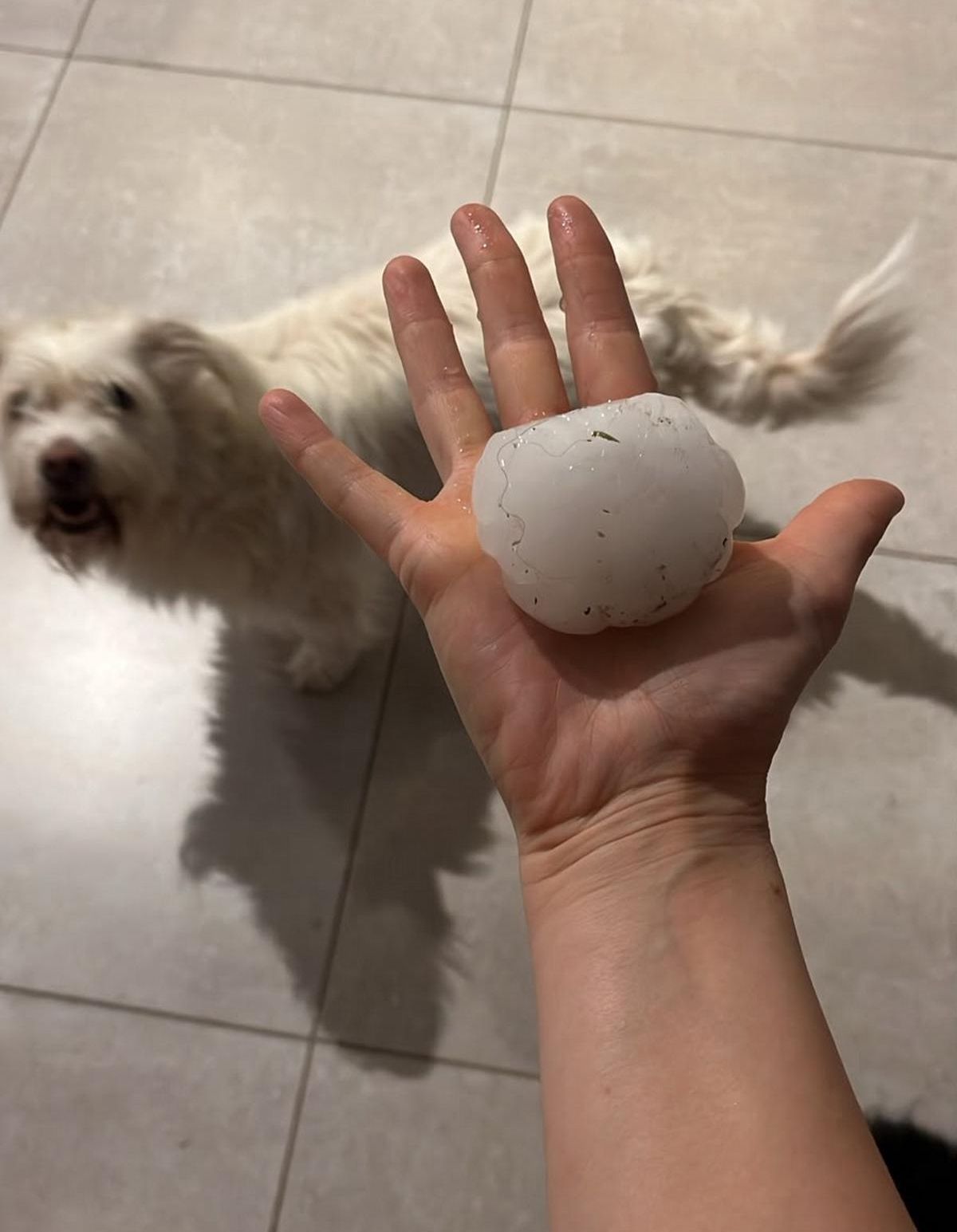 El tamaño de las piedras que cayeron en Córdoba