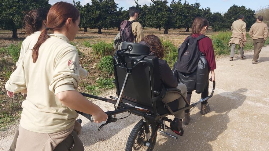 Una de las sillas adquiridas por Parques Naturales para hacer accesibles estos espacios.