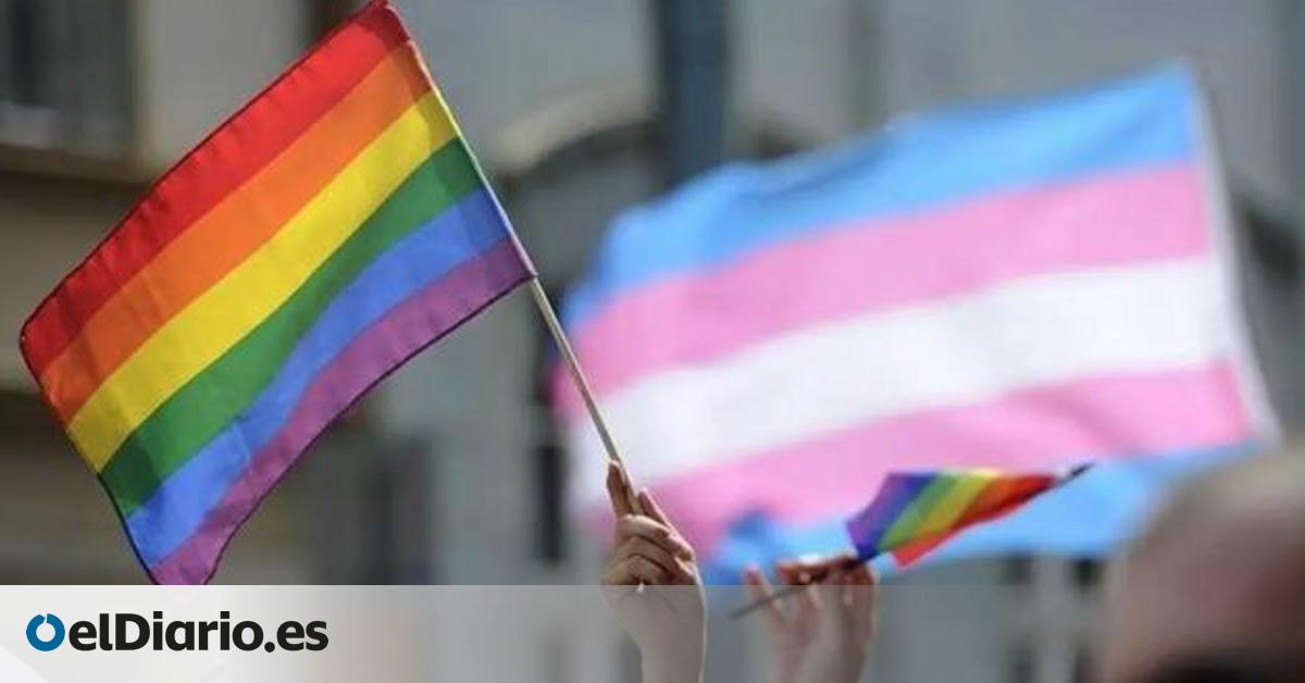 Dos detenidos por una agresión homófoba a dos hombres en Pontevedra
