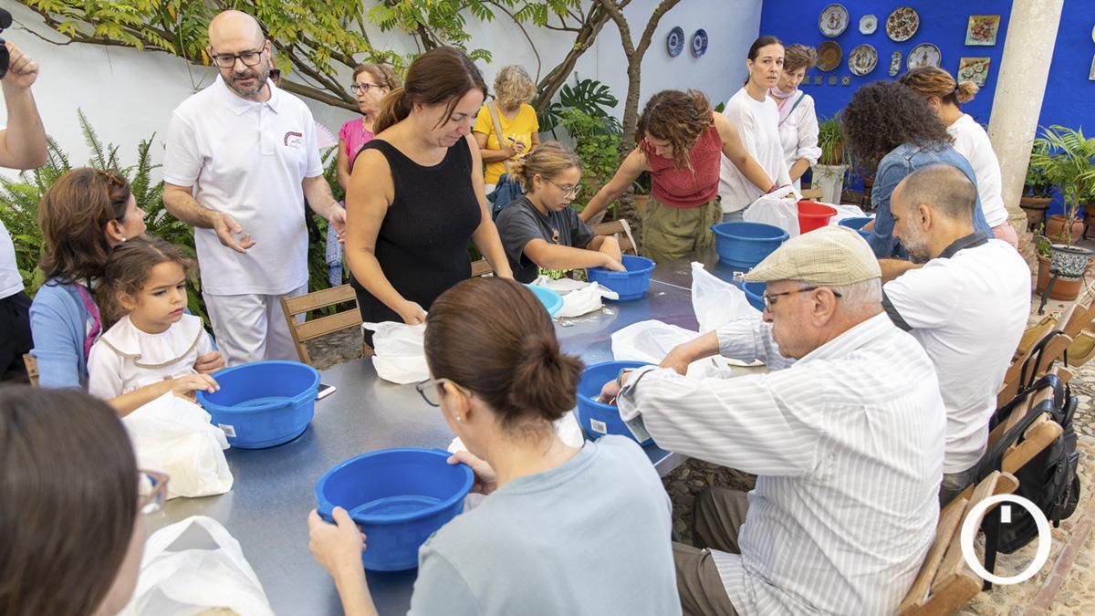 Imágenes de la tercera jornada de Ars Olea