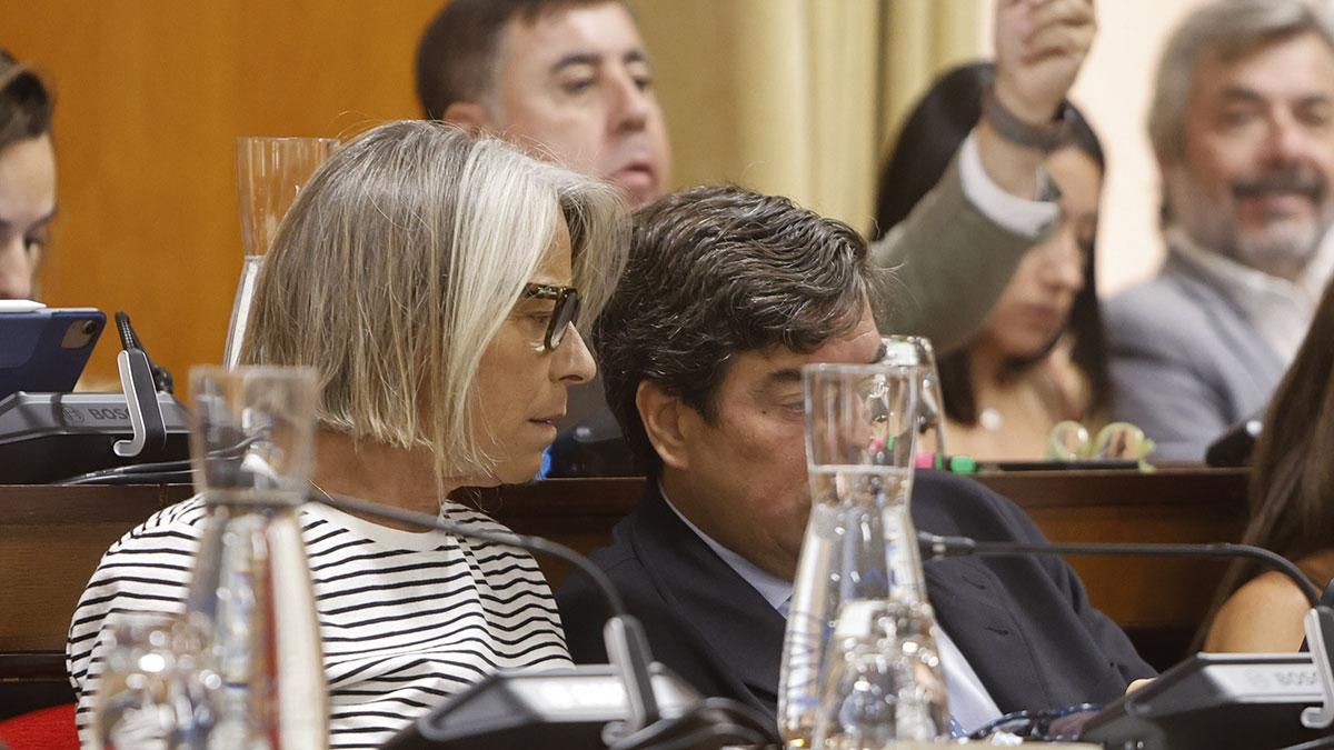 Isabel Albás en el pleno del Ayuntamiento