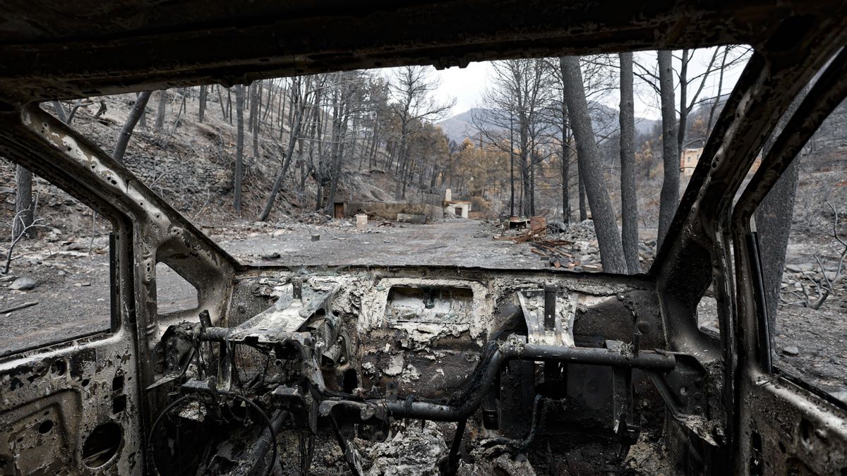 El PSPV pide la comparecencia del director de À Punt por la ausencia de información durante los días más graves de los incendios