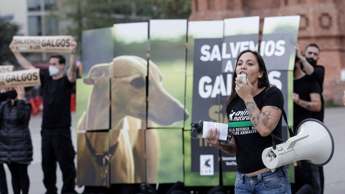 Más de cincuenta animalistas de AnimaNaturalis y CAS International han reclamado el derecho a la vida, el bienestar y la protección de los galgos, que son usados en carreras y actividades de caza y, posteriormente, son abandonados o asesinados, en un acto de protesta en el Arco del Triunfo de Barcelona. EFE/Quique García