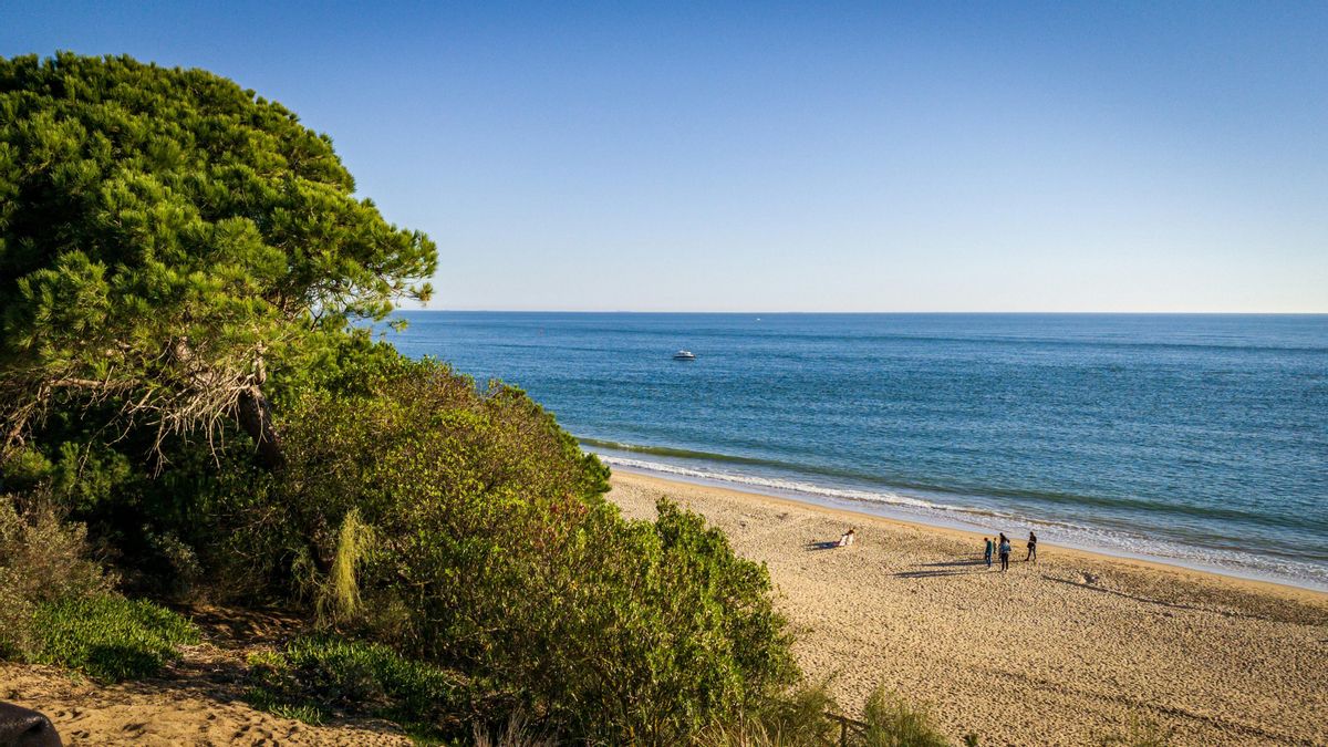 Un paseo entre dunas y naturaleza por los cuatro kilómetros de playa que unen estos dos municipios costeros de Huelva