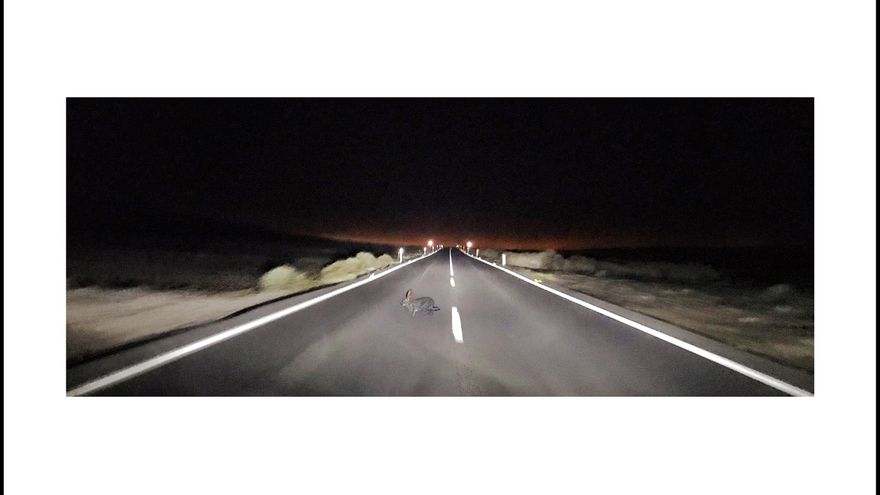 Gracias Robert Smith