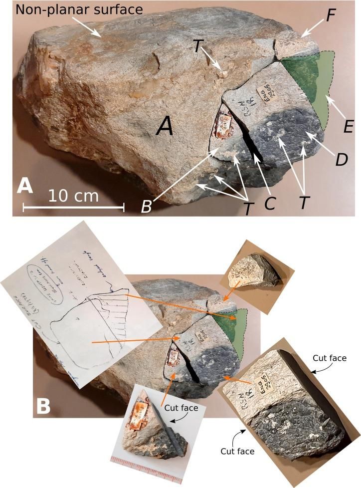 Fotografía de la roca Newall 1978.36 (número suplementario RSN18)