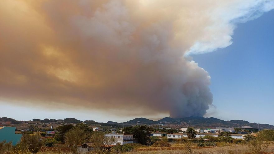 Columnas de humo del incendio de Arafo