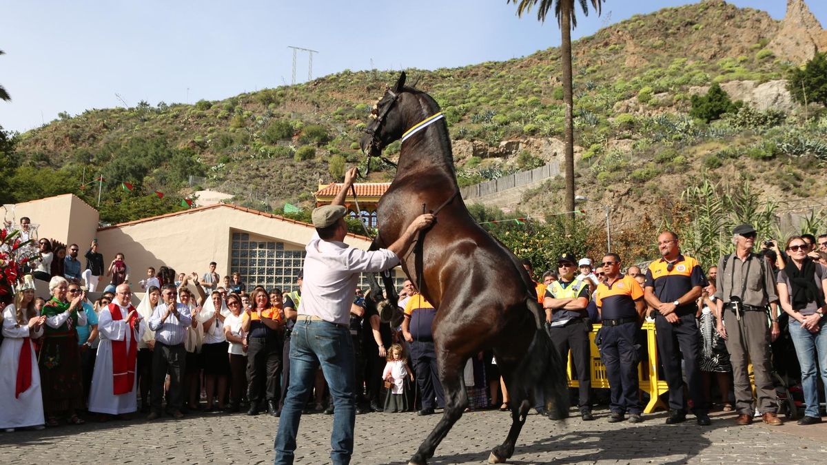 FOTOGALERÍA | Fiestas en Santa Lucía de Tirajana