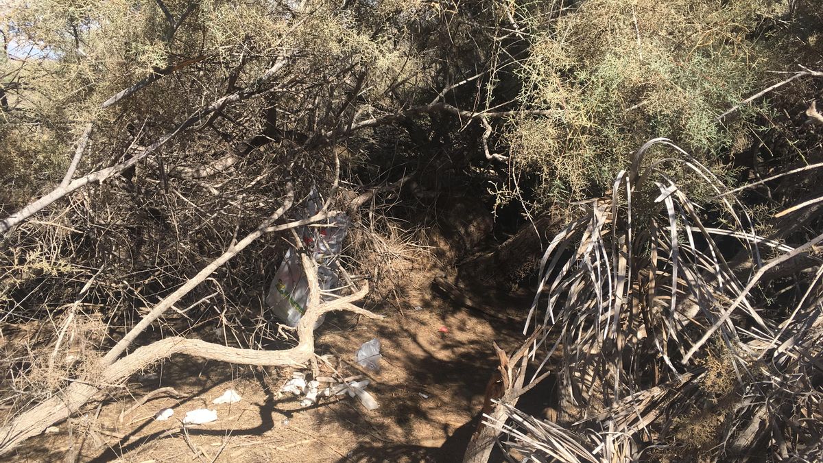 Basura y restos en las Dunas de Maspalomas, en 2018.
