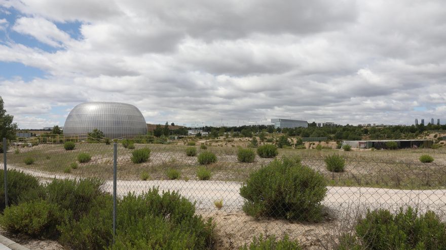 Ayuso busca gestionar la nueva Ciudad de la Justicia como el Zendal en el enésimo intento de reactivar el plan de Aguirre