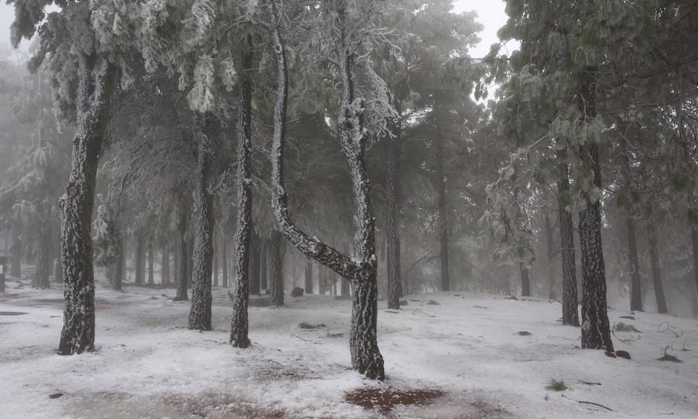 Cumbre grancanaria a jueves, 8 de febrero de 2018.