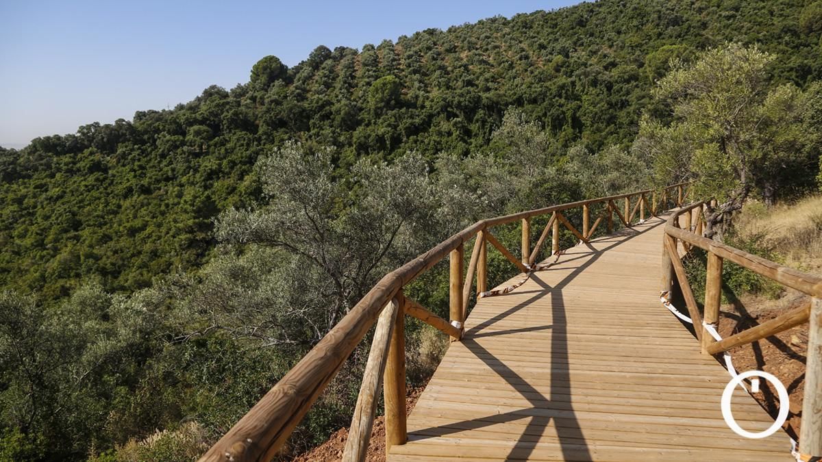 Construcción de la pasarela y el paso subterráneo del Cinturón Verde