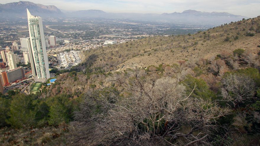 Benidorm baraja liquidar la crisis de Serra Gelada en 100 años: este es el plan para pagar la condena urbanística de 350 millones