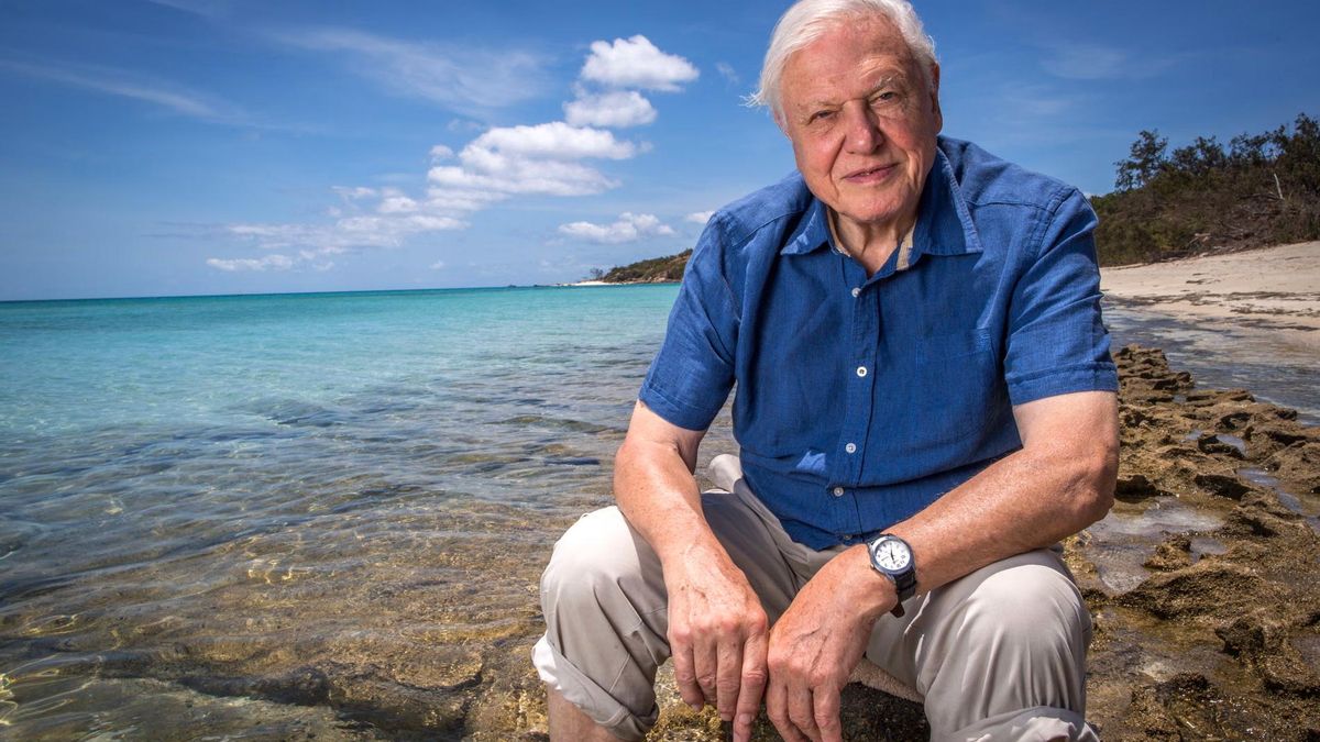 David Attenborough en la isla Lizard, en la Gran Barrera de Coral, frente a la costa noreste de Australia. Foto: cortesía Freddie Claire/BBC/Atlantic Productions
