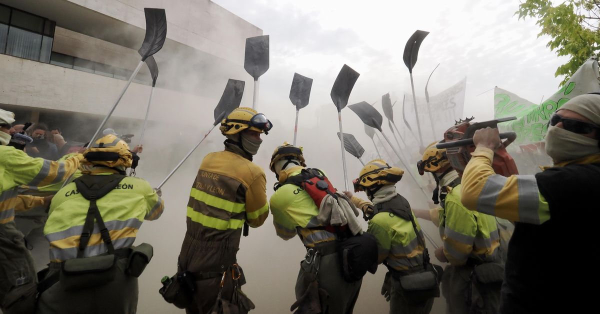 La jeta autonómica es un material muy combustible en los incendios