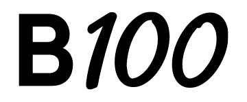 B100