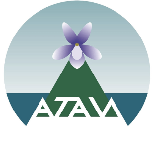 Captura de pantalla 2025 04 15 a las 10.13.56