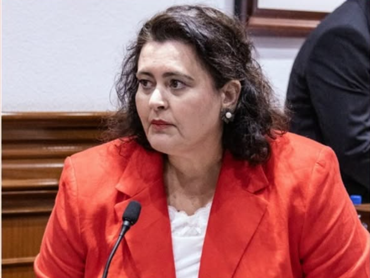 Celeste López Medina, concejala de Telde por Nueva Canarias y Secretaria Nacional de Economía y Fiscalidad de Nueva Canarias – Bloque Canarista.